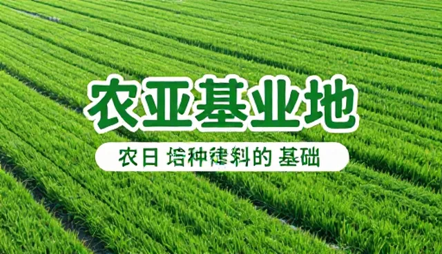 如何通过观众互动提升转化率？